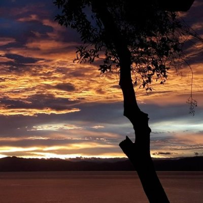 Casa Residencial/Comercial com 226m², 4 garagens, no bairro Jurerê Internacional em Florianópolis