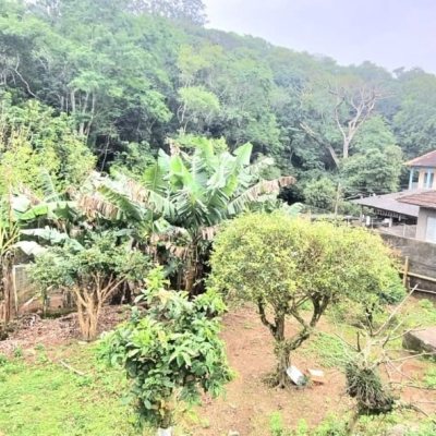 Casa Residencial com 290m², 8 quartos, 2 suítes, 10 garagens, no bairro Córrego Grande em Florianópolis