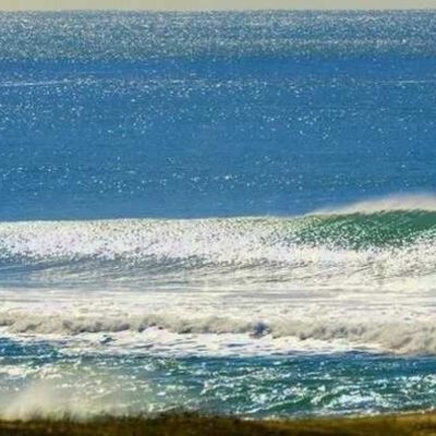 Casa em Condomínio com 309m², 4 quartos, 3 suítes, 2 garagens, no bairro Rio Tavares em Florianópolis