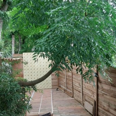 Casa Residencial com 135m², 1 quarto, 2 garagens, no bairro Sambaqui em Florianópolis