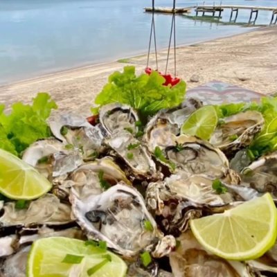 Casa Residencial com 135m², 1 quarto, 2 garagens, no bairro Sambaqui em Florianópolis