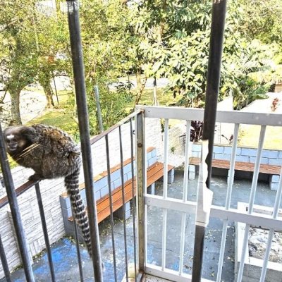 Casa Residencial com 228m², 3 quartos, 1 suíte, 3 garagens, no bairro Pantanal em Florianópolis
