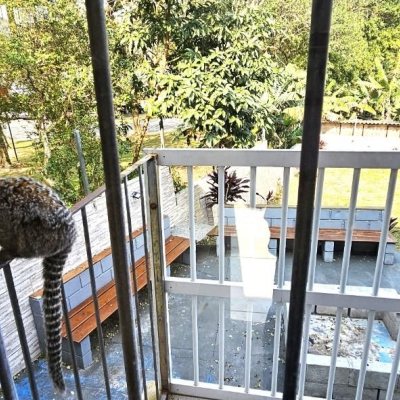 Casa Residencial com 228m², 3 quartos, 1 suíte, 3 garagens, no bairro Pantanal em Florianópolis