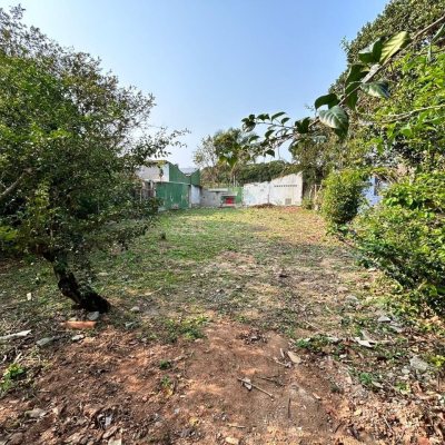 Terrenos Residenciais com 329m², no bairro Campeche em Florianópolis
