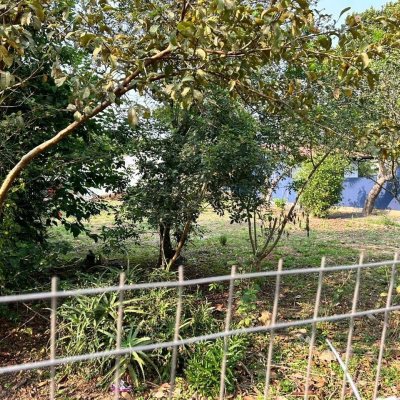 Terrenos Residenciais com 329m², no bairro Campeche em Florianópolis
