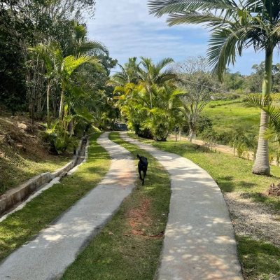 Casa Residencial com 350m², 4 quartos, 4 suítes, 8 garagens, no bairro São João Do Rio Vermelho em Florianópolis