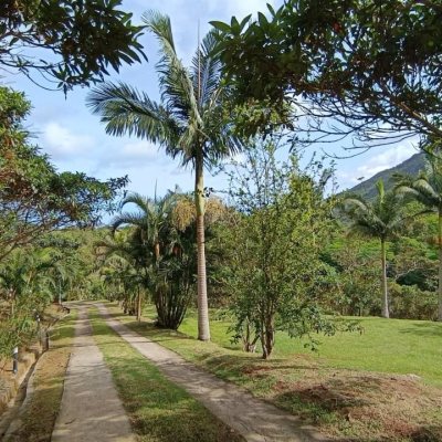 Casa Residencial com 350m², 4 quartos, 4 suítes, 8 garagens, no bairro São João Do Rio Vermelho em Florianópolis