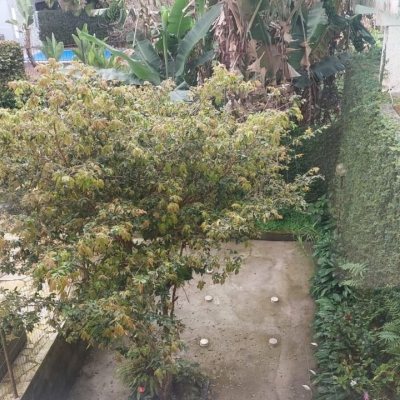 Casa Residencial com 290m², 4 quartos, 1 suíte, 2 garagens, no bairro Pantanal em Florianópolis