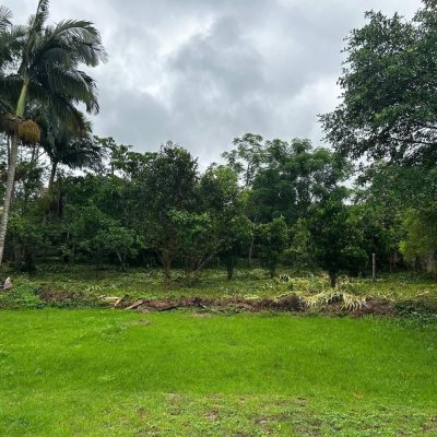 Terreno Comercial/Residencial com 2327m², no bairro Sul do Rio em Santo Amaro da Imperatriz