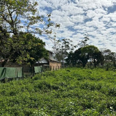 Terrenos Residenciais com 1493m², no bairro Ibiraquera em Imbituba