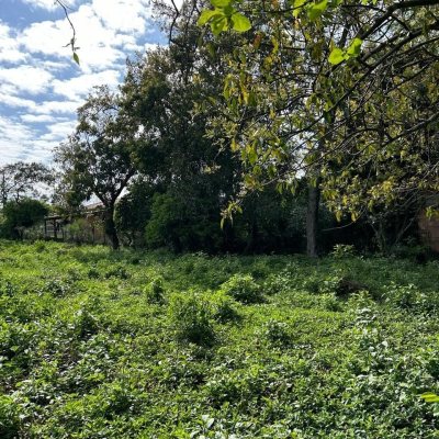 Terrenos Residenciais com 1493m², no bairro Ibiraquera em Imbituba