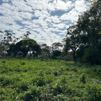 Terrenos Residenciais com 1493m², no bairro Ibiraquera em Imbituba