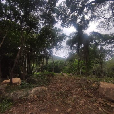 Terreno Comercial/Residencial com 38760m², no bairro Ratones em Florianópolis