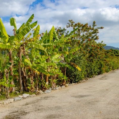 Terrenos Residenciais com 4129m², no bairro Lagoa Da Conceição em Florianópolis