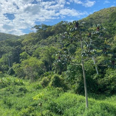 Apartamentos com 118m², 3 quartos, 1 suíte, 2 garagens, no bairro Ingleses do Rio Vermelho em Florianópolis