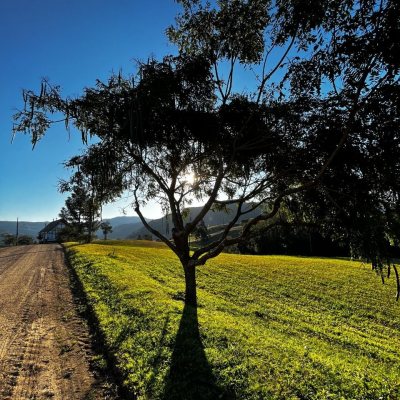 Terrenos Residenciais com 1000m², no bairro Invernadinha em Rancho Queimado