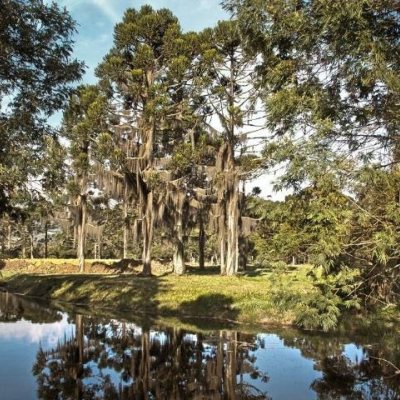 Terrenos Residenciais com 1000m², no bairro Invernadinha em Rancho Queimado