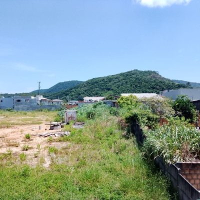 Apartamentos com 490m², 6 quartos, 1 suíte, 4 garagens, no bairro Campeche em Florianópolis