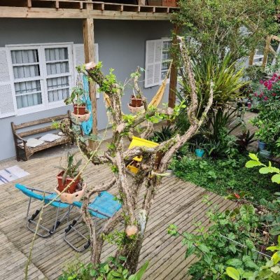 Pousada com 360m², 7 quartos, no bairro Trindade em Florianópolis