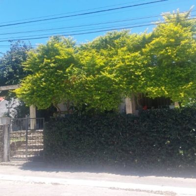 Casa Residencial com 530m², 5 quartos, 8 garagens, no bairro Lagoa Da Conceição em Florianópolis