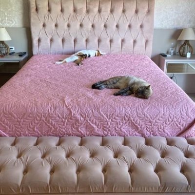 Casa Residencial com 360m², 4 quartos, 3 suítes, 2 garagens, no bairro Ingleses do Rio Vermelho em Florianópolis