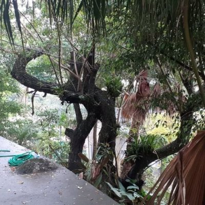 Casa Residencial com 194m², 3 quartos, 2 suítes, 4 garagens, no bairro Cachoeira Do Bom Jesus em Florianópolis