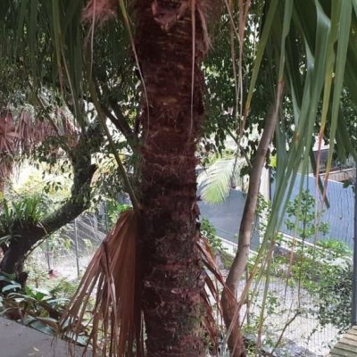 Casa Residencial com 194m², 3 quartos, 2 suítes, 4 garagens, no bairro Cachoeira Do Bom Jesus em Florianópolis