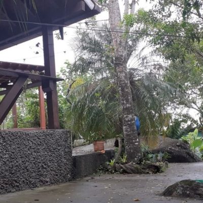 Casa Residencial com 194m², 3 quartos, 2 suítes, 4 garagens, no bairro Cachoeira Do Bom Jesus em Florianópolis