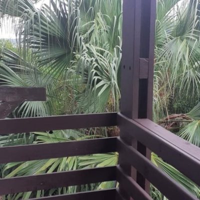 Casa Residencial com 194m², 3 quartos, 2 suítes, 4 garagens, no bairro Cachoeira Do Bom Jesus em Florianópolis