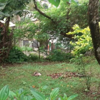 Casa Residencial com 194m², 3 quartos, 2 suítes, 4 garagens, no bairro Cachoeira Do Bom Jesus em Florianópolis