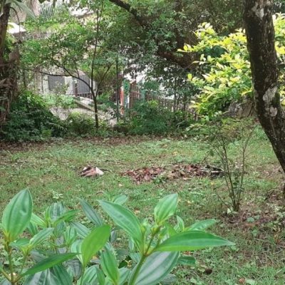 Casa Residencial com 194m², 3 quartos, 2 suítes, 4 garagens, no bairro Cachoeira Do Bom Jesus em Florianópolis