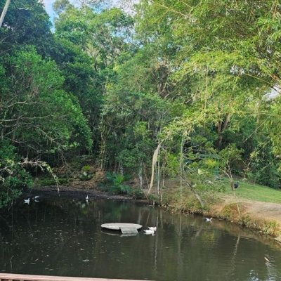 Casa em Condomínio com 240m², 4 quartos, 3 suítes, 1 garagem, no bairro Sambaqui em Florianópolis