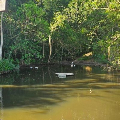 Casa em Condomínio com 240m², 4 quartos, 3 suítes, 1 garagem, no bairro Sambaqui em Florianópolis