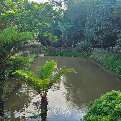 Casa em Condomínio com 240m², 4 quartos, 3 suítes, 1 garagem, no bairro Sambaqui em Florianópolis