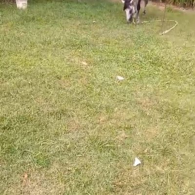 Casa Residencial com 150m², 4 quartos, 2 garagens, no bairro Vargem Grande em Florianópolis