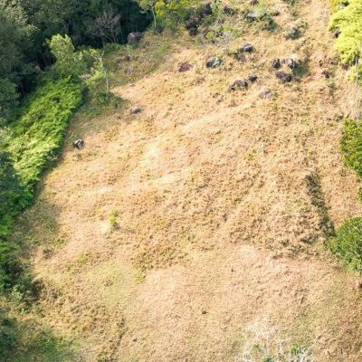 Casa Residencial com 150m², 4 quartos, 2 garagens, no bairro Vargem Grande em Florianópolis