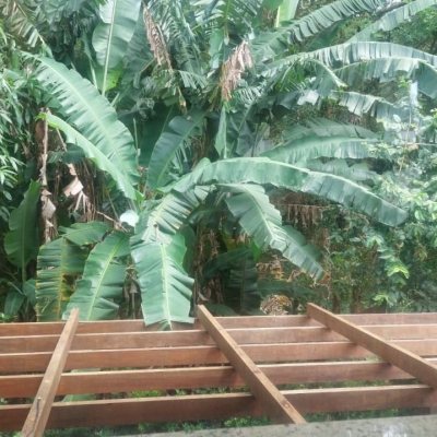 Casa em Condomínio com 330m², 4 quartos, 3 suítes, 2 garagens, no bairro Cacupé em Florianópolis