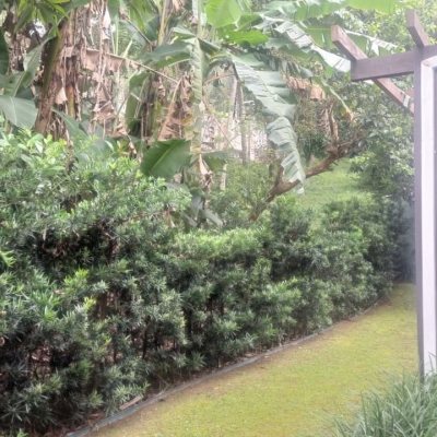 Casa em Condomínio com 330m², 4 quartos, 3 suítes, 2 garagens, no bairro Cacupé em Florianópolis