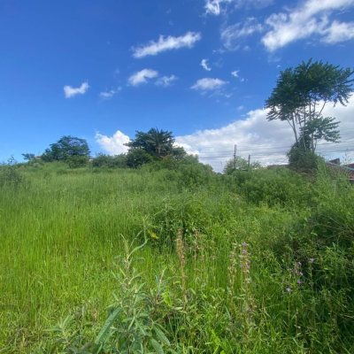 Terreno Comercial/Residencial com 10100m², no bairro Boa Vista em Biguaçu