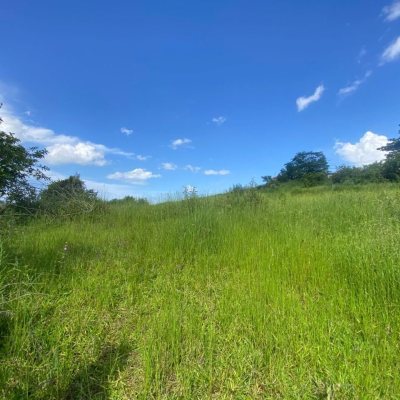 Terreno Comercial/Residencial com 10100m², no bairro Boa Vista em Biguaçu