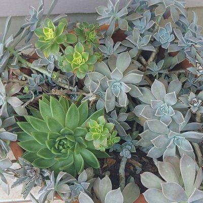 Casa Residencial com 162m², 4 quartos, 1 suíte, 3 garagens, no bairro Campeche em Florianópolis