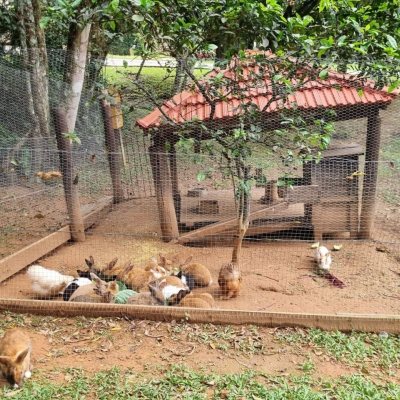 Casa em Condomínio com 517m², 5 quartos, 3 suítes, 4 garagens, no bairro Sambaqui em Florianópolis