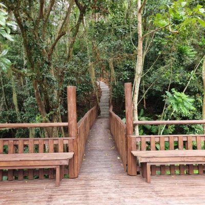 Casa em Condomínio com 517m², 5 quartos, 3 suítes, 4 garagens, no bairro Sambaqui em Florianópolis