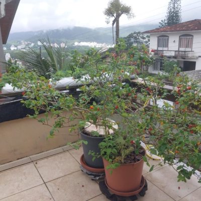 Casa Residencial com 295m², 4 quartos, 2 suítes, 3 garagens, no bairro Trindade em Florianópolis