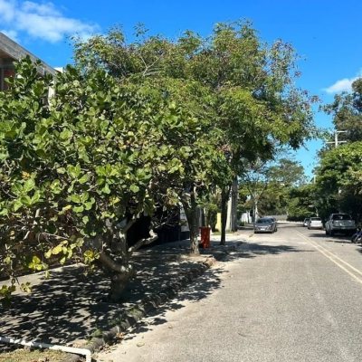 Loft com 44m², 1 quarto, 1 suíte, 1 garagem, no bairro Novo Campeche em Florianópolis