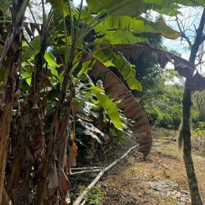 Casa Residencial com 150m², 6 quartos, 6 garagens, no bairro Rio Tavares em Florianópolis