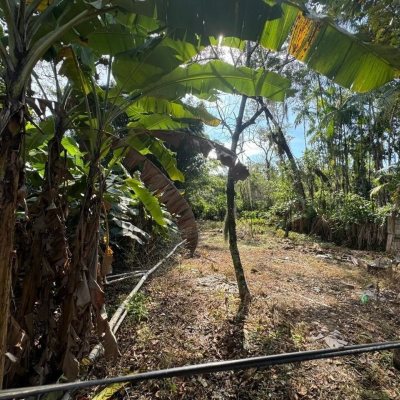 Casa Residencial com 150m², 6 quartos, 6 garagens, no bairro Rio Tavares em Florianópolis