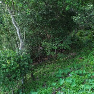 Terrenos Residenciais com 11211m², no bairro Sambaqui em Florianópolis