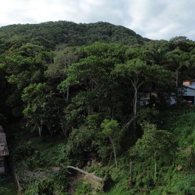 Terrenos Residenciais com 11211m², no bairro Sambaqui em Florianópolis