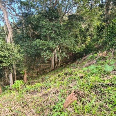 Terrenos Residenciais com 11211m², no bairro Sambaqui em Florianópolis